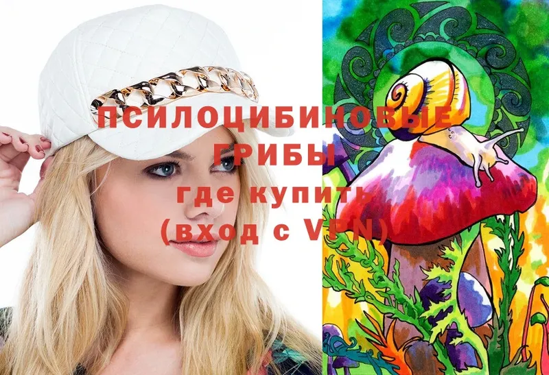 Галлюциногенные грибы Magic Shrooms  Дубовка 