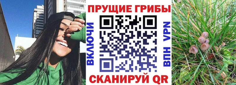 цены наркотик  Дубовка  ссылка на мегу сайт  мориарти как зайти  Галлюциногенные грибы мухоморы 