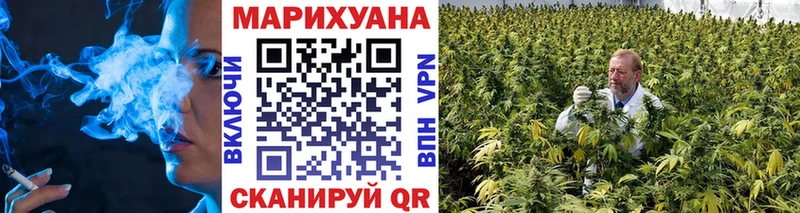 Бошки марихуана VHQ Дубовка